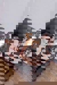 さんの写真